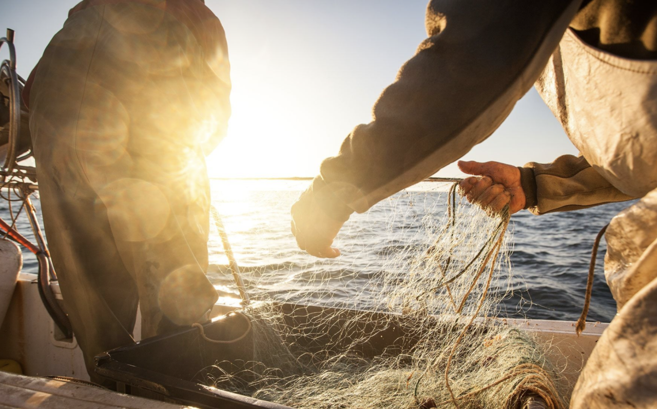 Fisherman on a ship fishing for sustainable seafood